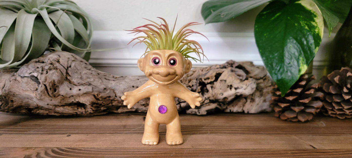 Treasure Troll Air Plant Holder