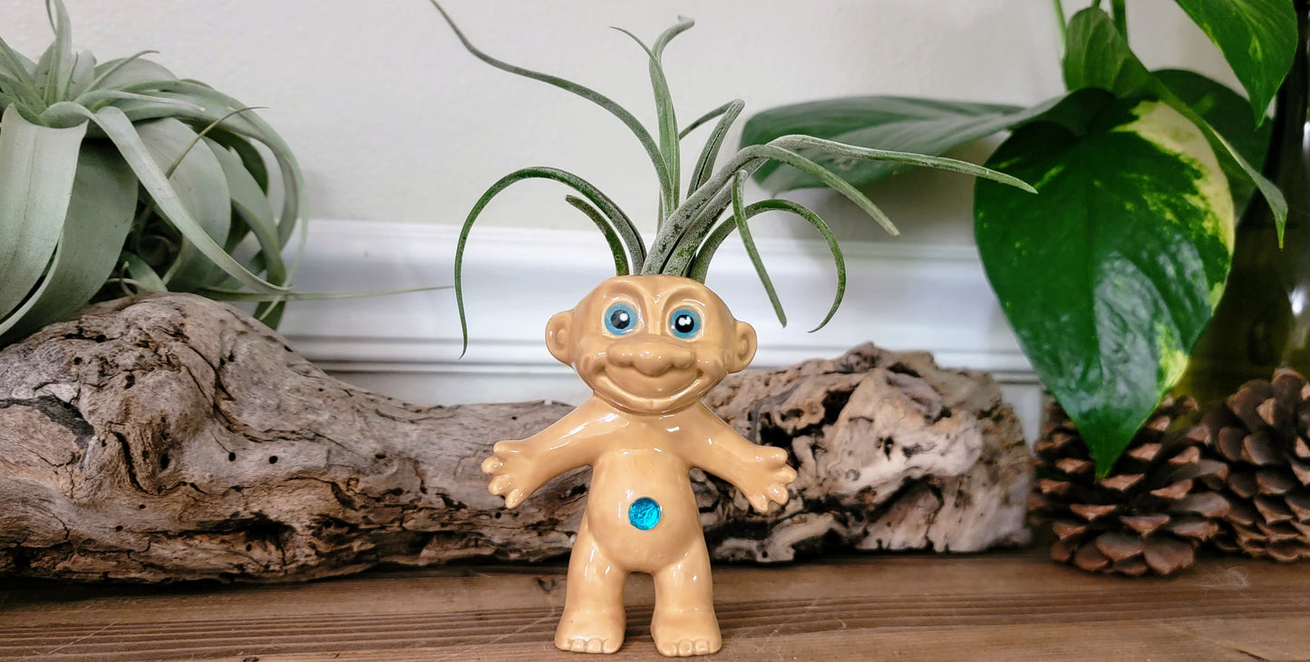 Treasure Troll Air Plant Holder