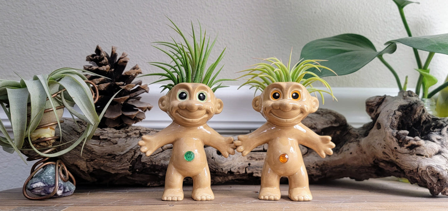 Treasure Troll Air Plant Holder