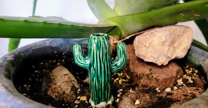 Cactus Watering Spike