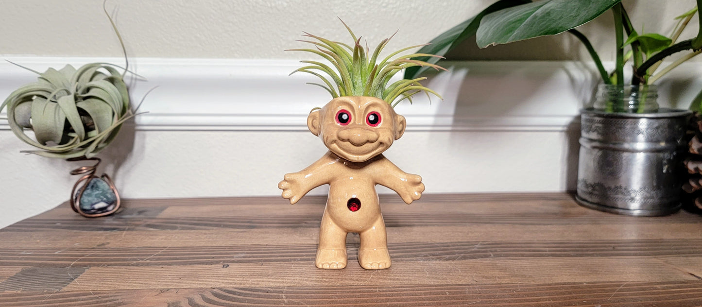 Treasure Troll Air Plant Holder