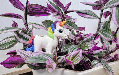 Unicorn Watering Spike