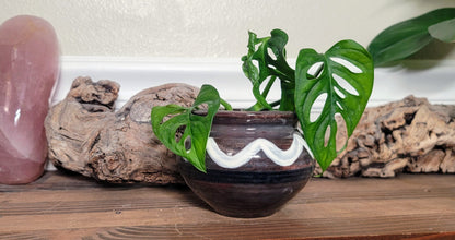 Small Ceramic Zelda Seed Pot  Succulent/Cactus Planter
