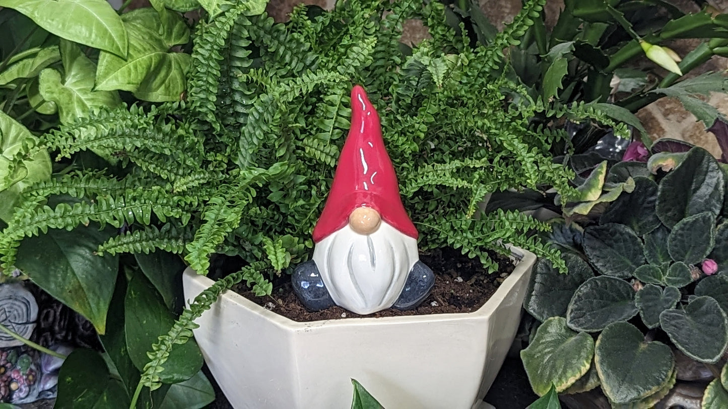 Tall Gnome Watering Spike