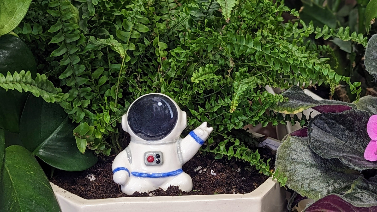 Astronaut Watering Spike