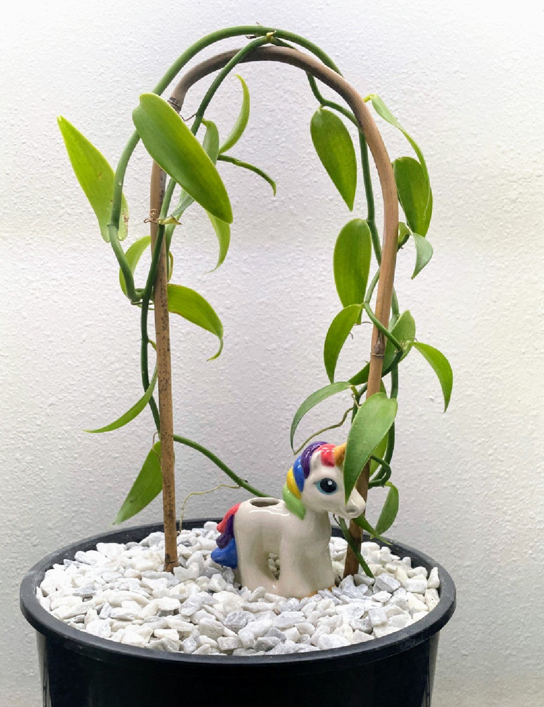 Unicorn Watering Spike