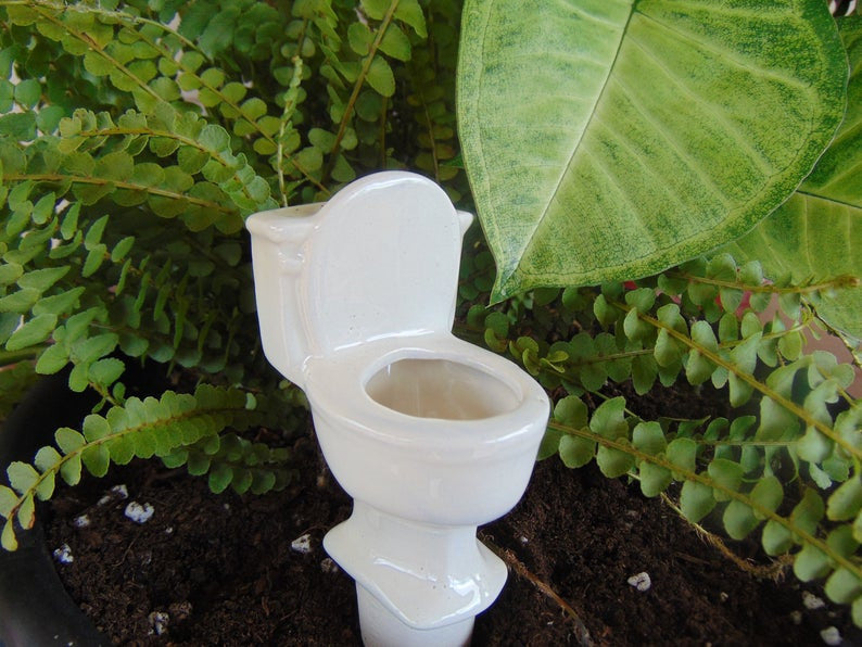 This comical toilet watering spike is perfect for your medium indoor planters or for an outdoor herb or flower garden, not to mention being a great conversation starter!