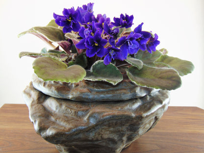 Large Natural Stone Self Watering / African Violet Pot