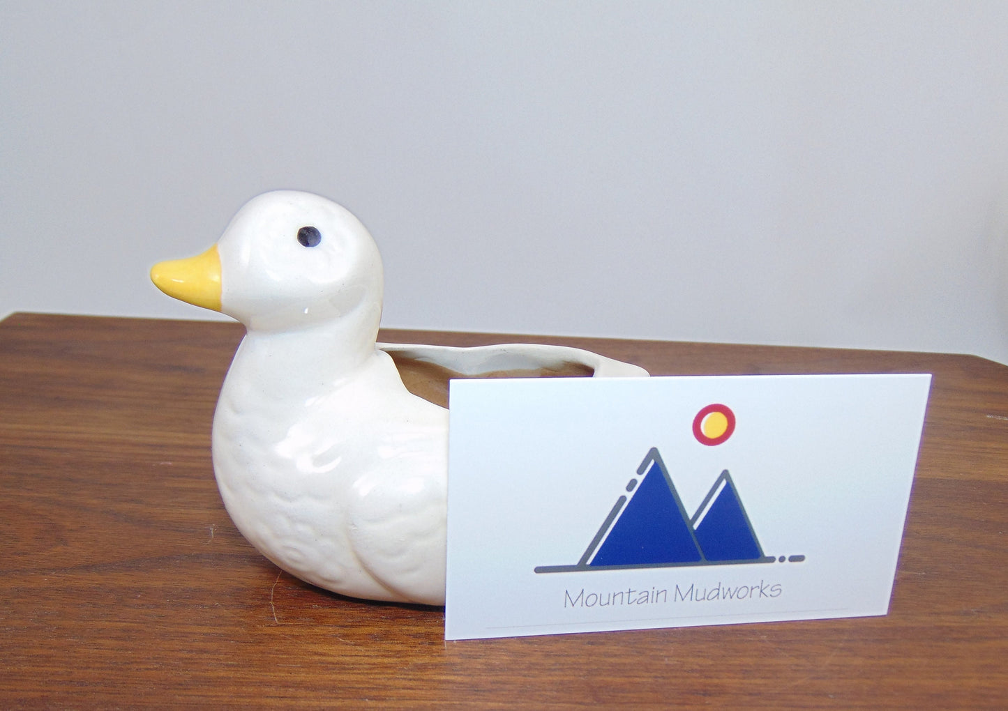 Small Ceramic Duck Planter