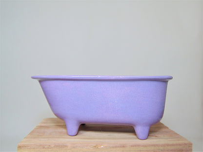 Small Bathtub Planter