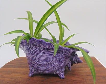 Conch Seashell Ceramic Planter