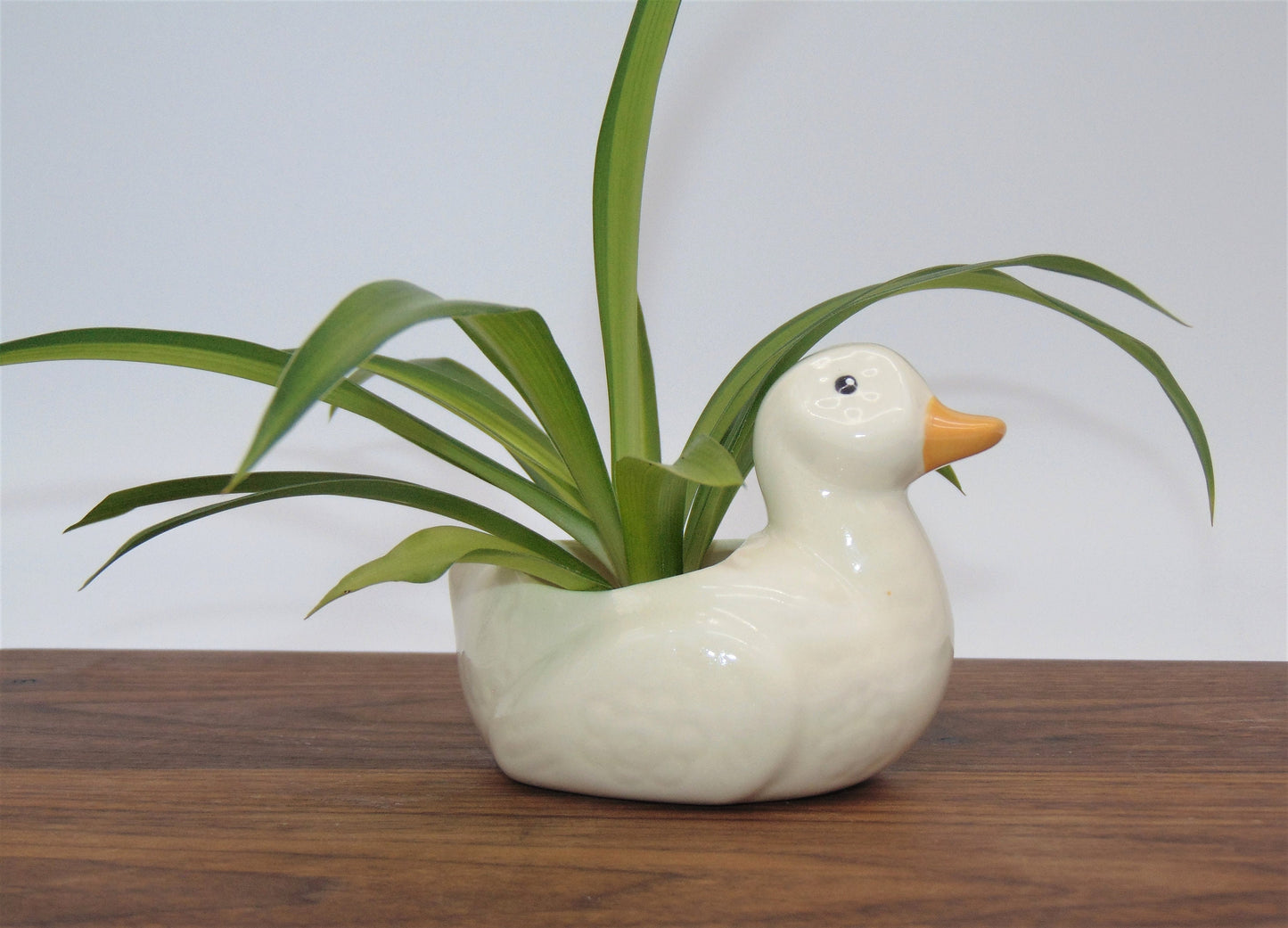 Small Ceramic Duck Planter