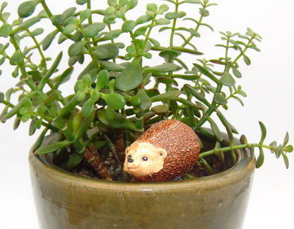 Hedgehog Watering Spike
