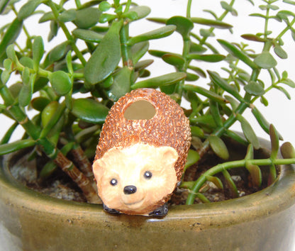 Hedgehog Watering Spike