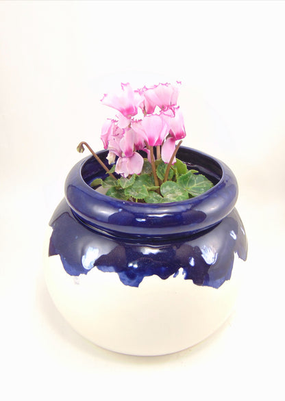 Large Round Self Watering / African Violet Pot
