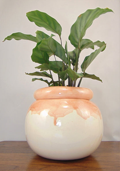 Large Round Self Watering / African Violet Pot