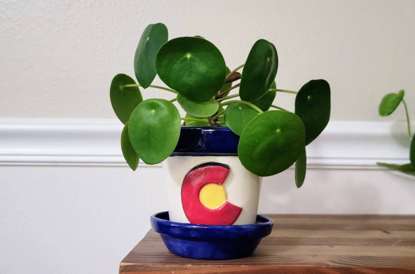Colorado Pot - Handmade Ceramic Planter - Premium Quality – Mountain ...