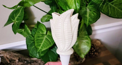 Snake Plant Watering Spike