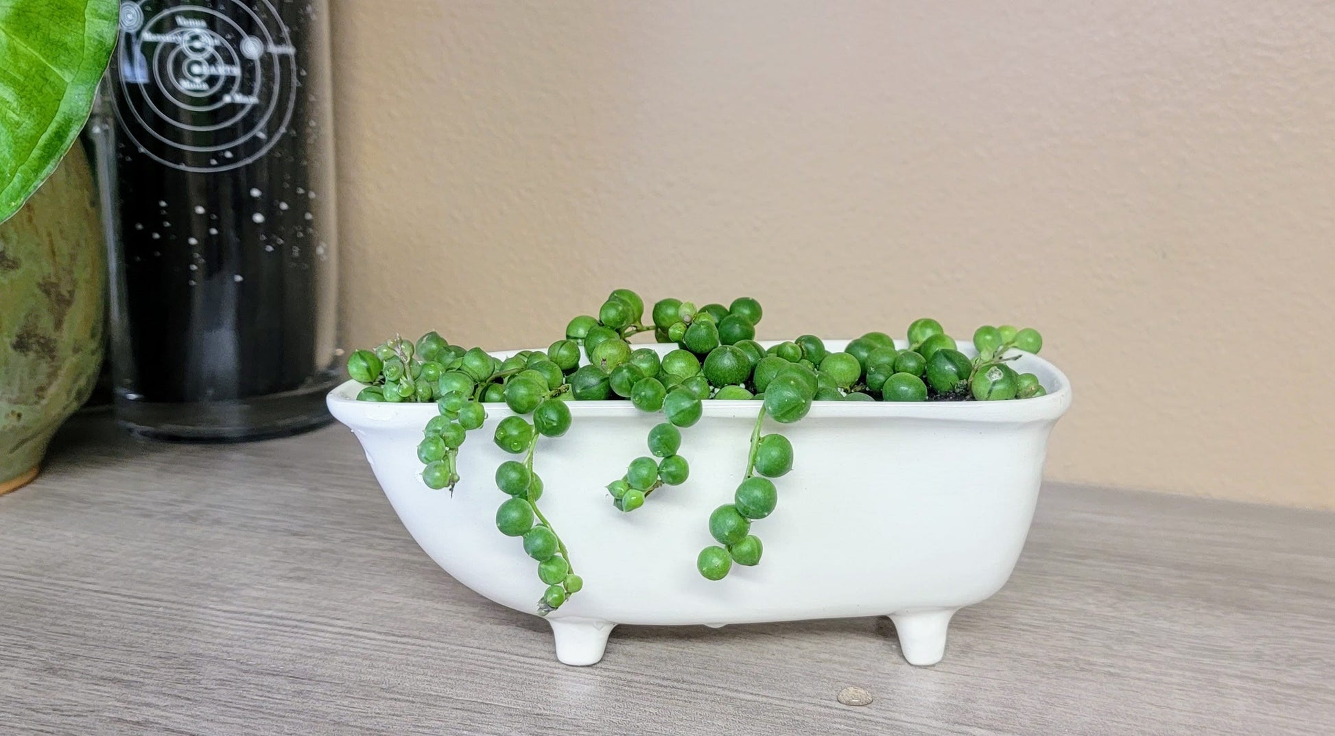 bathtub planter pot Medium Bathtub Planter - Premium Handmade Ceramic Pottery