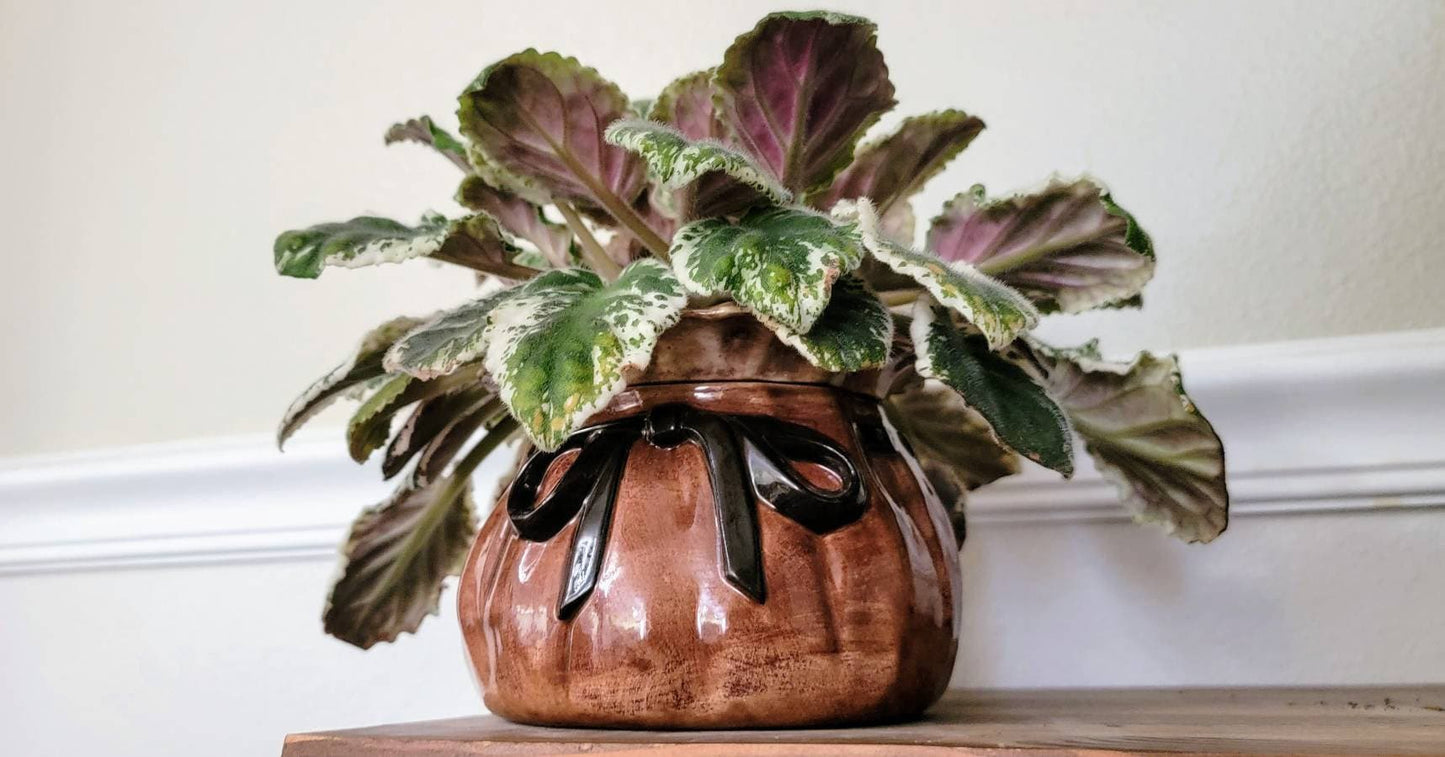 Coin Bag Self Watering Planter / African Violet Pot