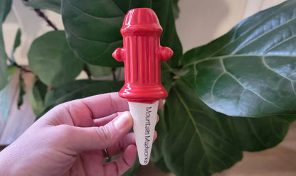 Fire Hydrant Plant Watering Spike