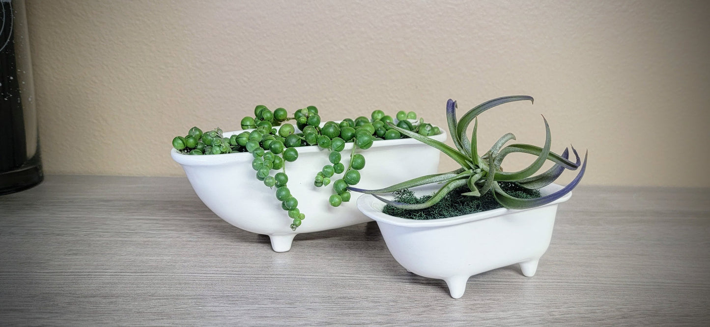 Medium Ceramic Bathtub Planter