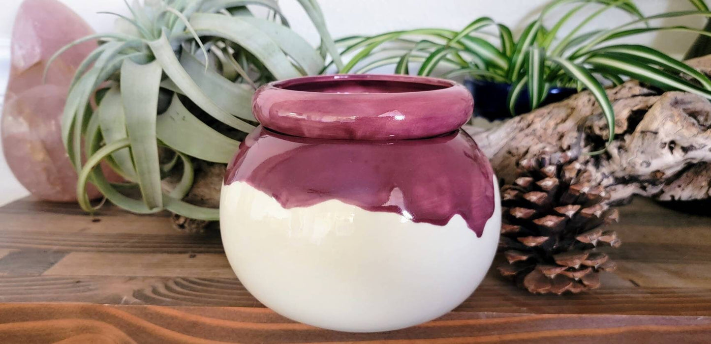 Medium Round Self Watering / African Violet Pot