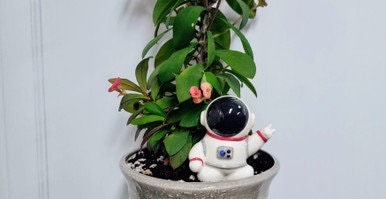 Astronaut Watering Spike