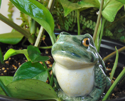 Frog Watering Spike