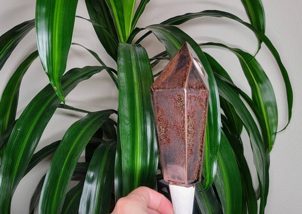 Tall Crystal Plant Watering Spike