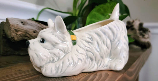 Small Shaggy Dog Planter