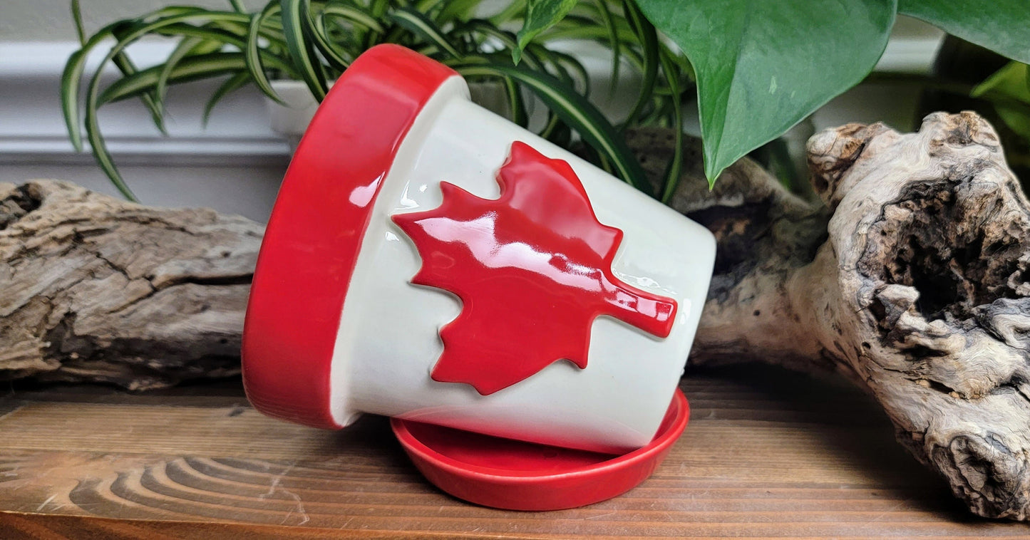 Canada Pot - Premium Handmade Ceramic Planter