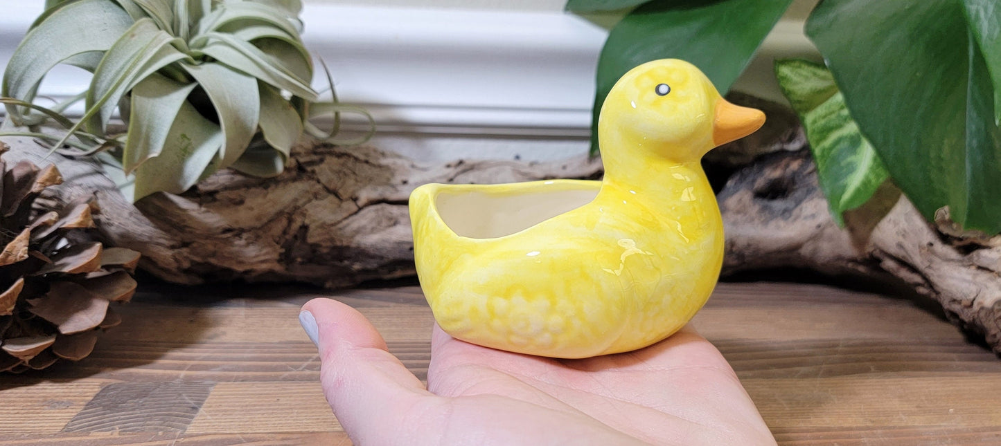 Small Ceramic Duck Planter