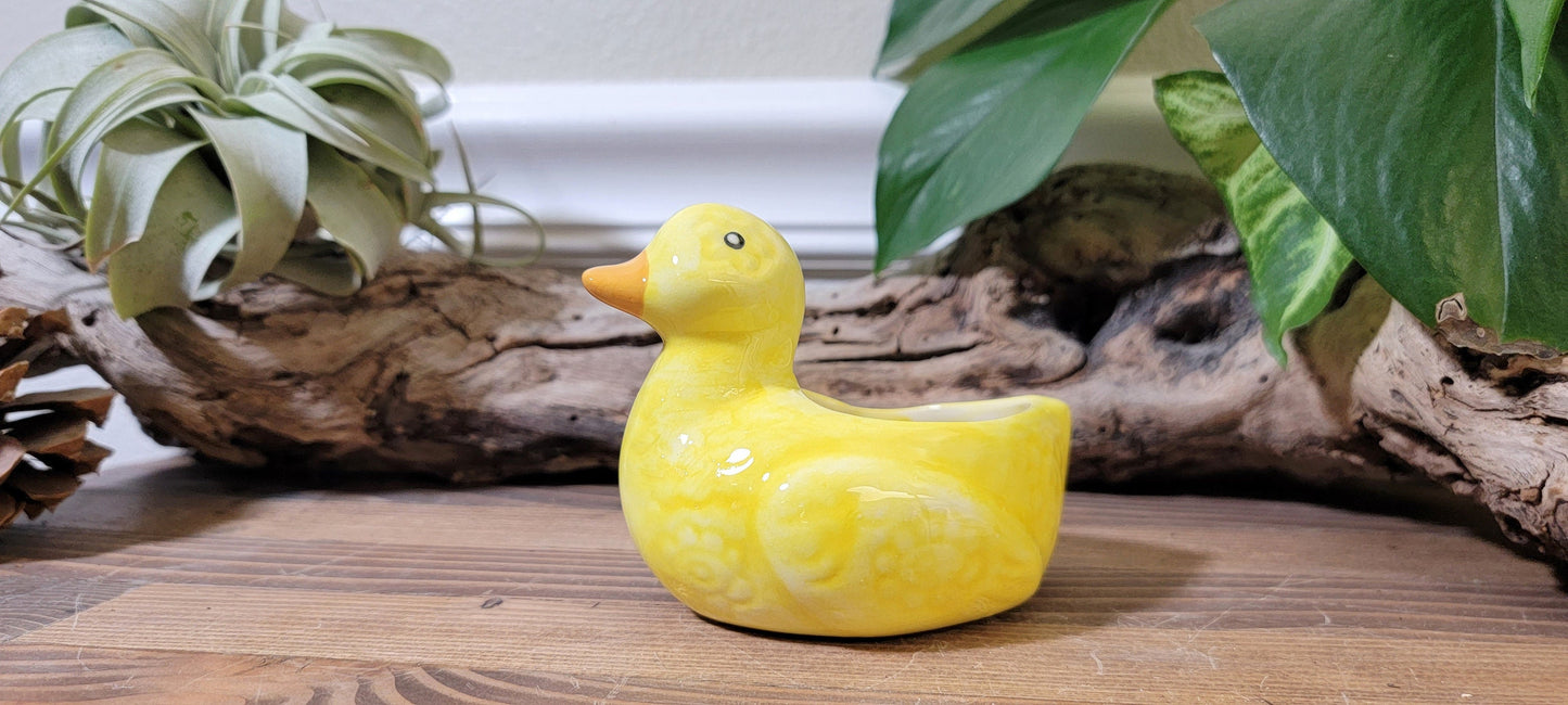 Small Ceramic Duck Planter