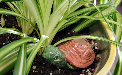 Turtle Plant Watering Spike