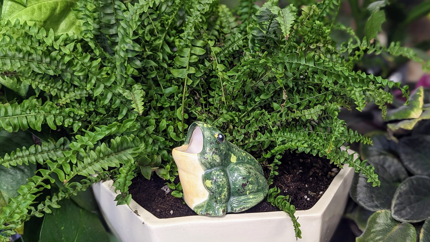 Open-Mouth Frog Plant Watering Spike