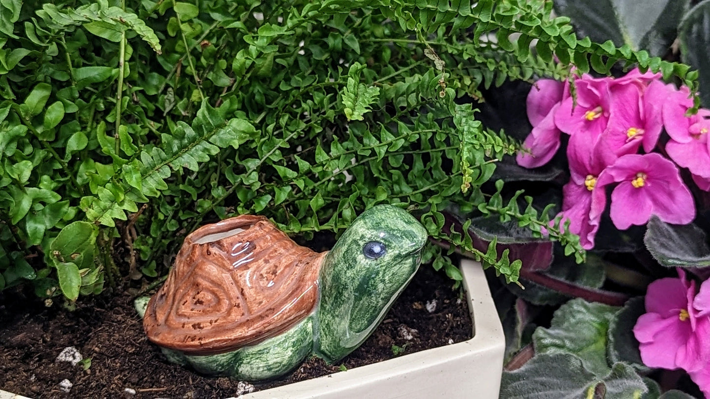 Turtle Plant Watering Spike