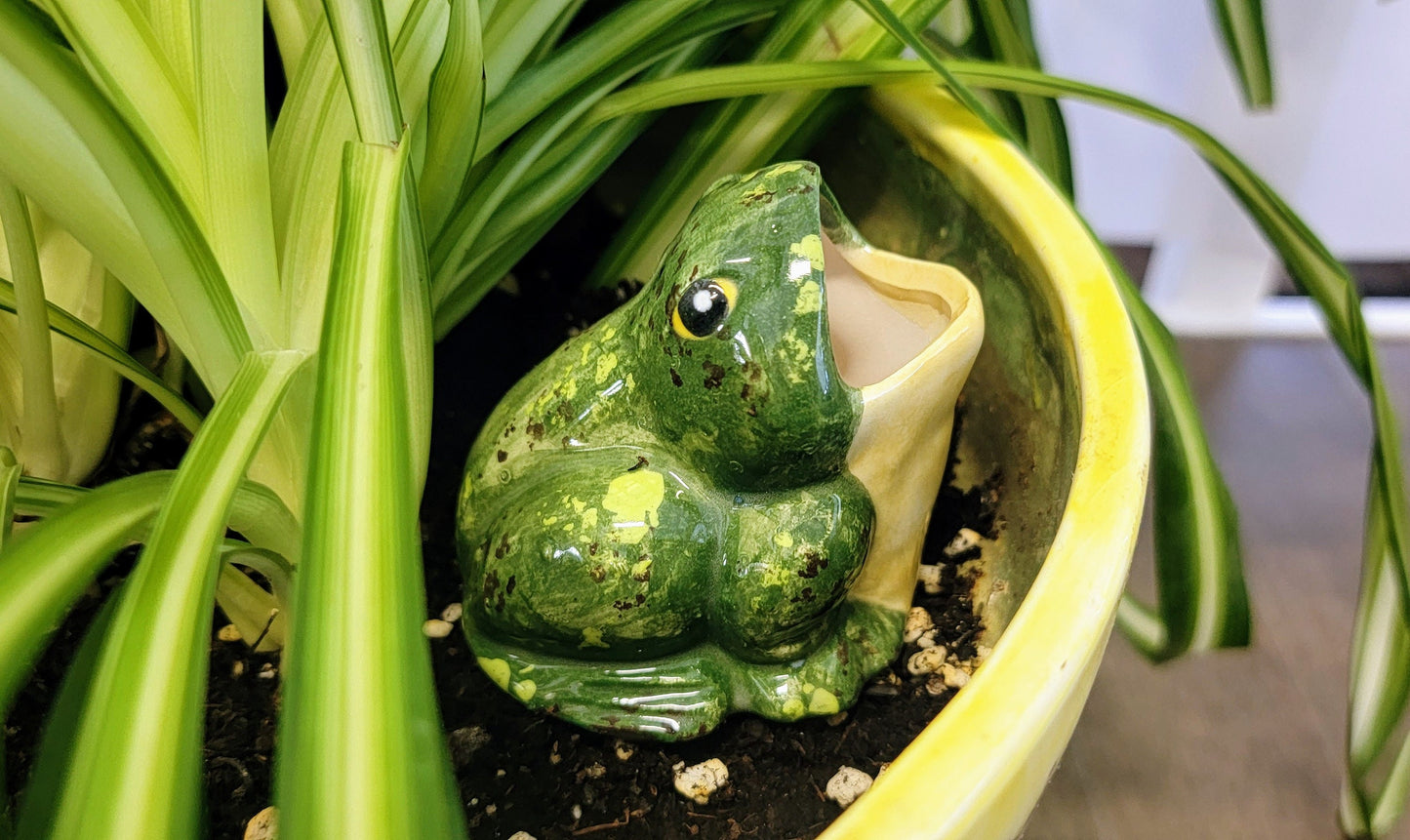 Open-Mouth Frog Plant Watering Spike