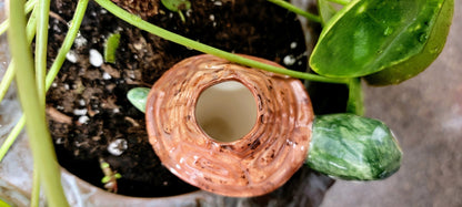 Turtle Plant Watering Spike