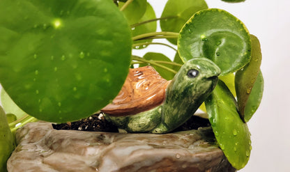 Turtle Plant Watering Spike
