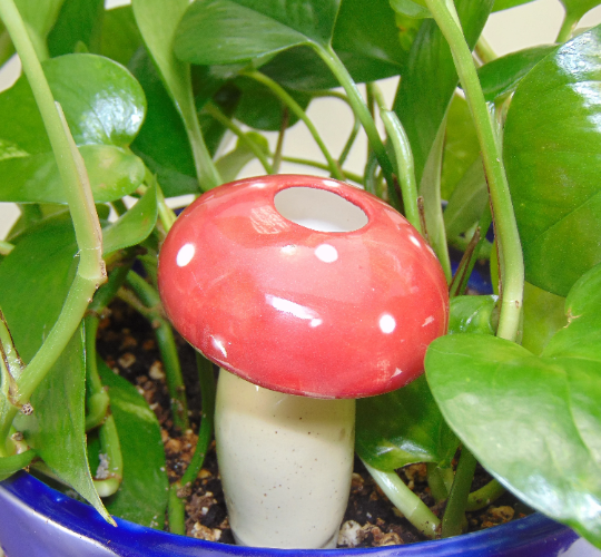 Medium Mushroom Watering Spike